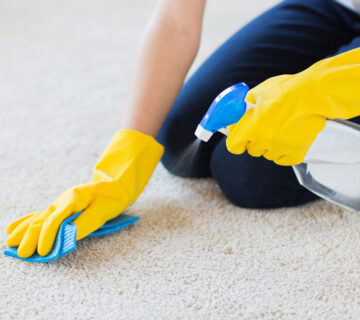 پاک کردن لکه چربی از روی فرش - قالیشویی آوا