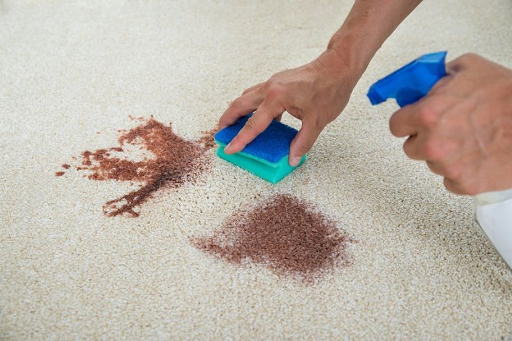 سرعت عمل در حذف لکه های فرش را جدی بگیرید - قالیشویی آوا