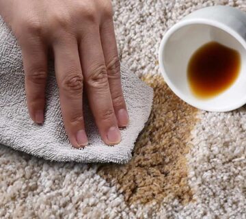 پاک کردن لکه قهوه از روی فرش - قالیشویی آوا